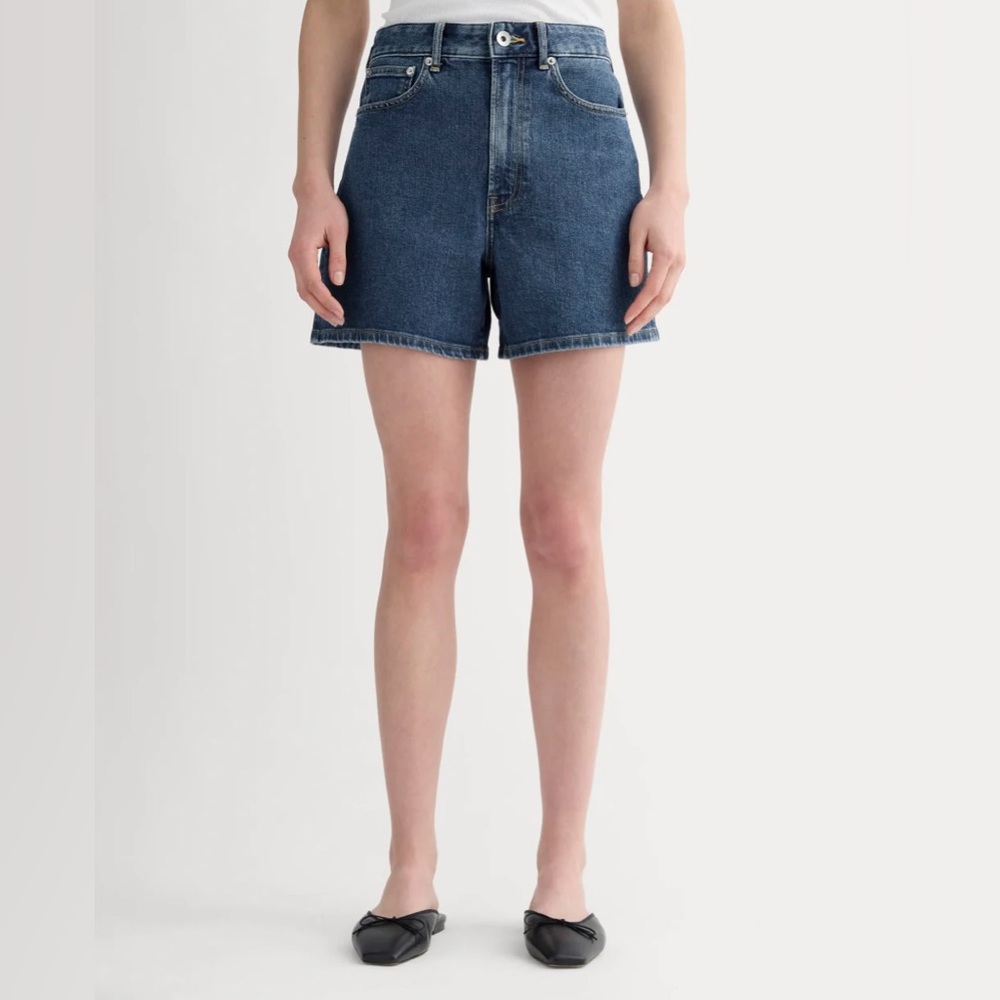 Everlane A-Line Short in Ocean sz 29